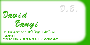 david banyi business card